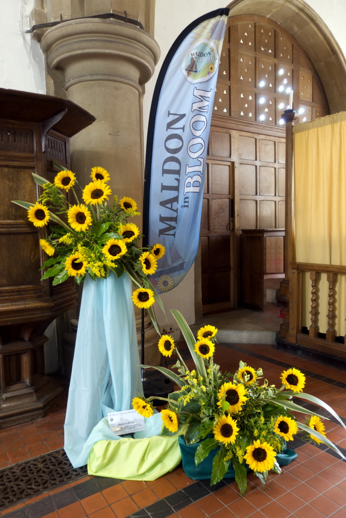 Sunflowers near the pulpit